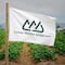Consejo Nacional Agropecuario: cuotas antidumping a fresas mexicanas van contra el T-MEC