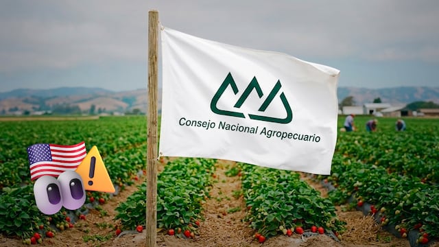 Consejo Nacional Agropecuario crítica cuotas antidumping a fresas mexicanas