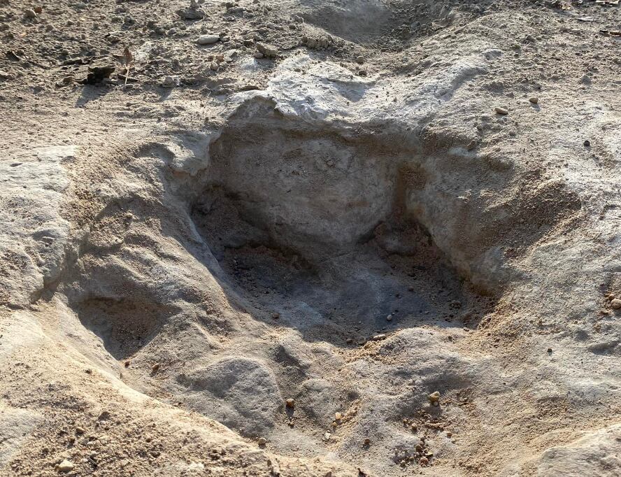 HUELLAS DE DINOSAURIOS EN TEXAS
