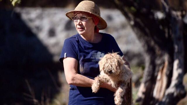 Dora Anaya, propietaria de los perros de Tepotztlán
