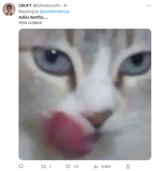 Memes a Netflix porque ya cobrará por compartir cuenta