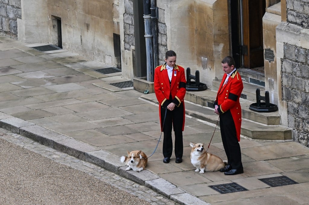 Muick y Sandy, corgis de la reina Isabel II en el funeral
