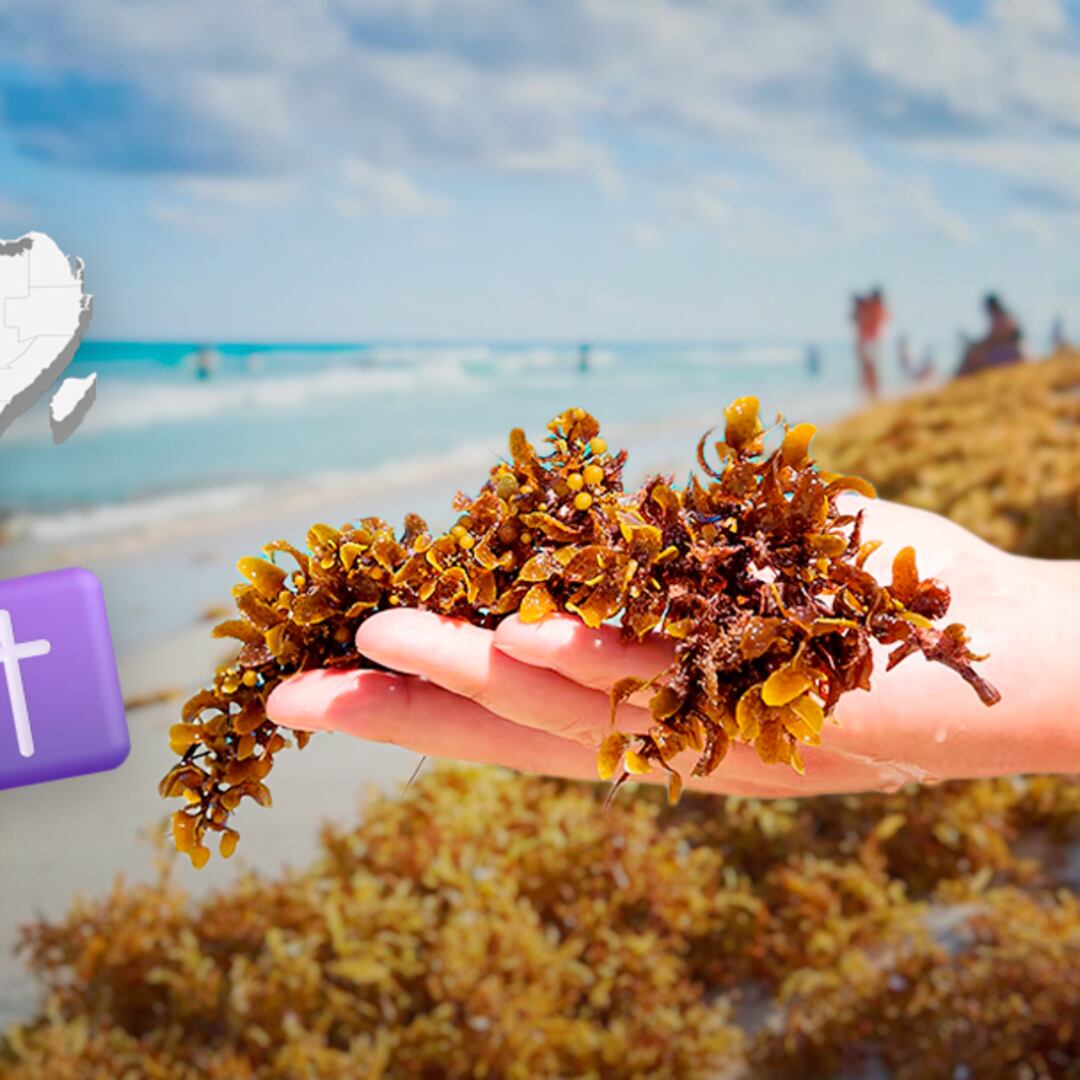 Sargazo llega antes de Semana Santa a playas de Quintana Roo