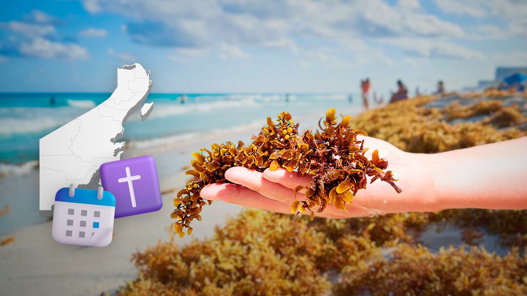 Sargazo llega antes de Semana Santa a playas de Quintana Roo