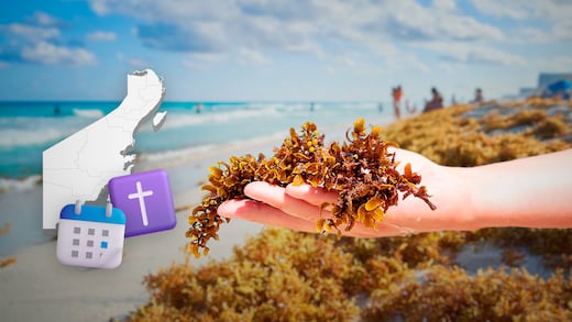 Sargazo llega antes de Semana Santa a playas de Quintana Roo