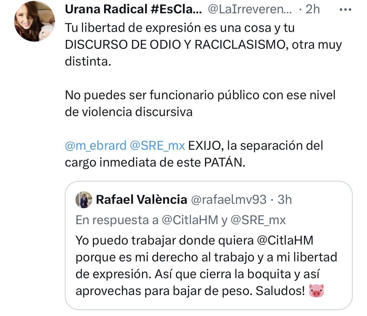 Falso trabajador SRE arremete contra Citlalli Hernández