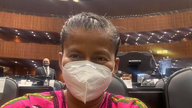 Diputada Irma Juan Carlos