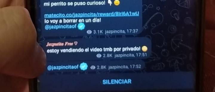 Jazpincita es acusada de vender videos porno con su perro.