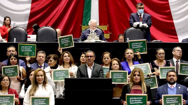 Cámara de Diputados aprueba entornos escolares saludables