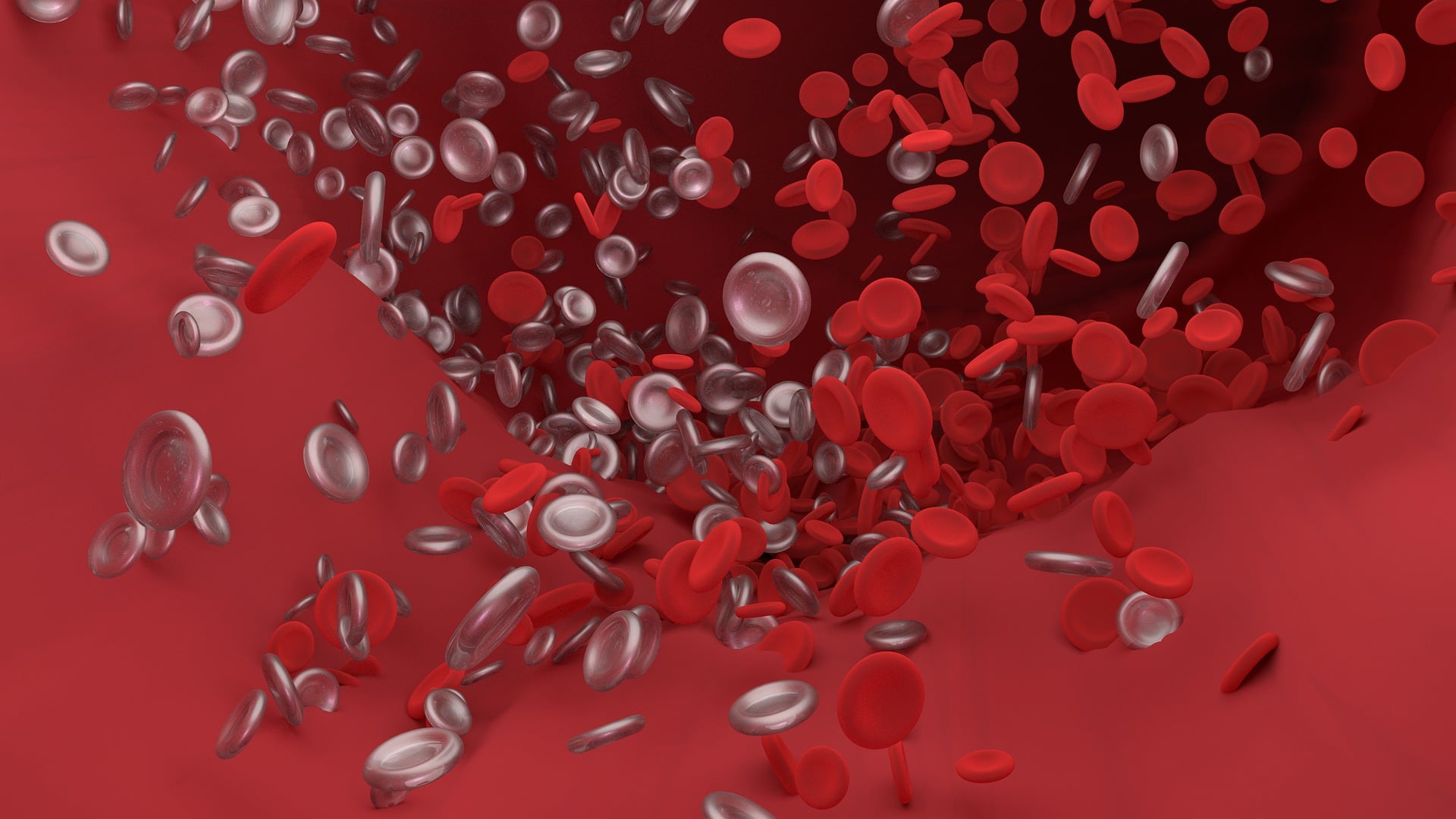 Células de la sangre