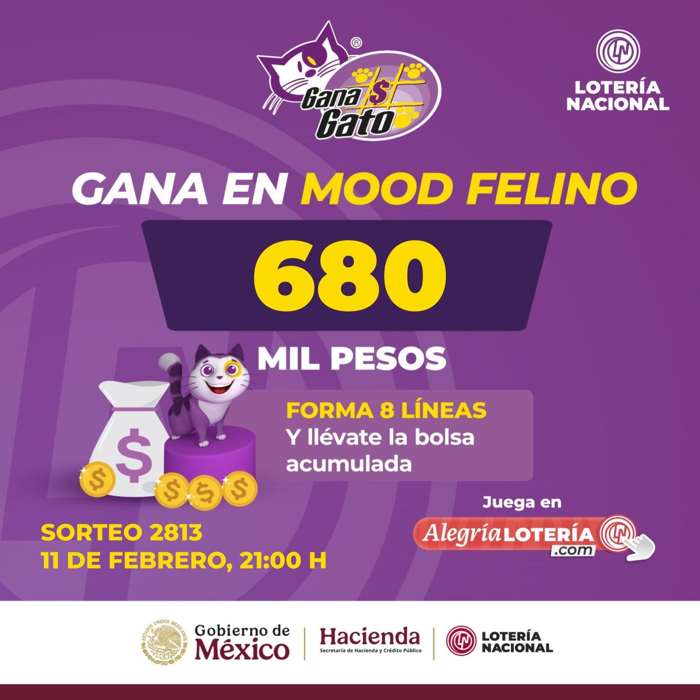 Resultados Sorteo Gana Gato 2813 de Lotería Nacional: Estos son los números ganadores