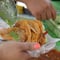 Récord Guinness de tacos de canasta: Tlaxcala busca superar a CDMX