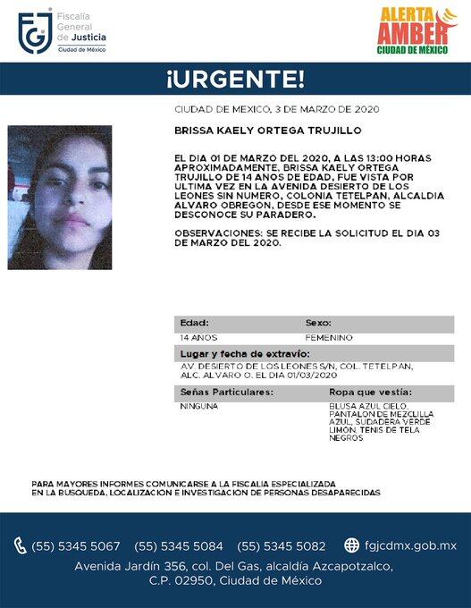 Brissa Kaely Ortega Trujillo