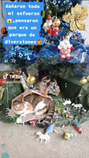 Perro y gatito destruyendo adornos navideños