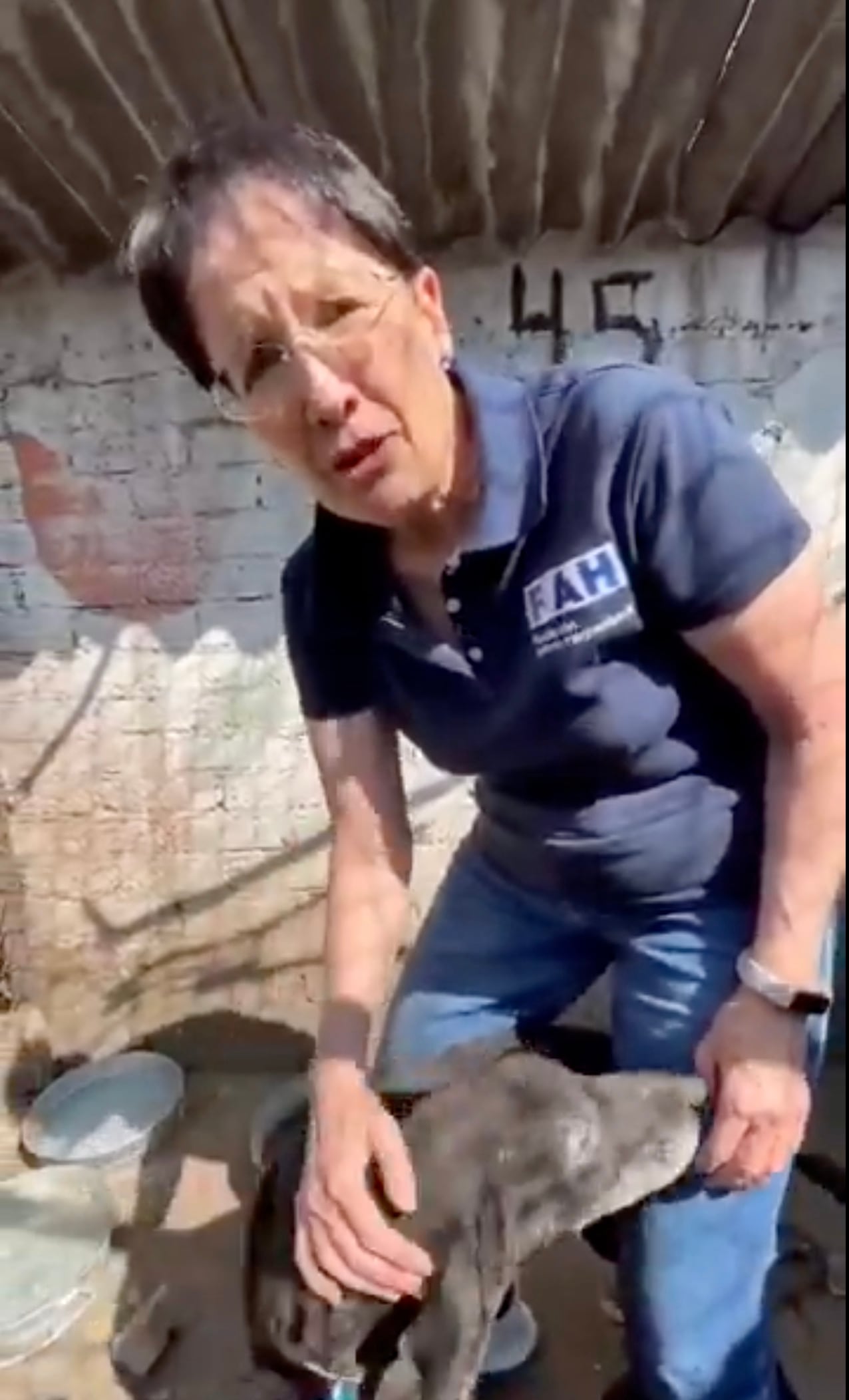 Carmela Rivero, presidenta de Fundación Haghenbeck