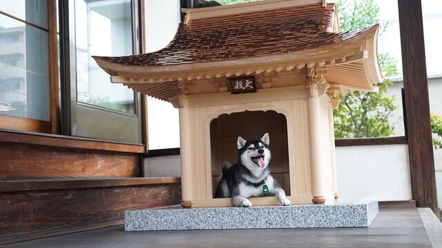 Inudono, la casa para perros más cara del mundo