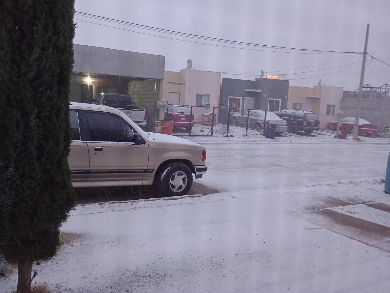 Nevada en Sonora hoy