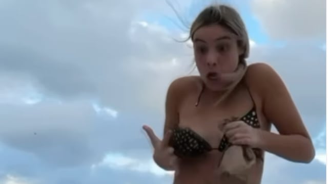 Lele Pons sufre ataque de una gaviota traviesa