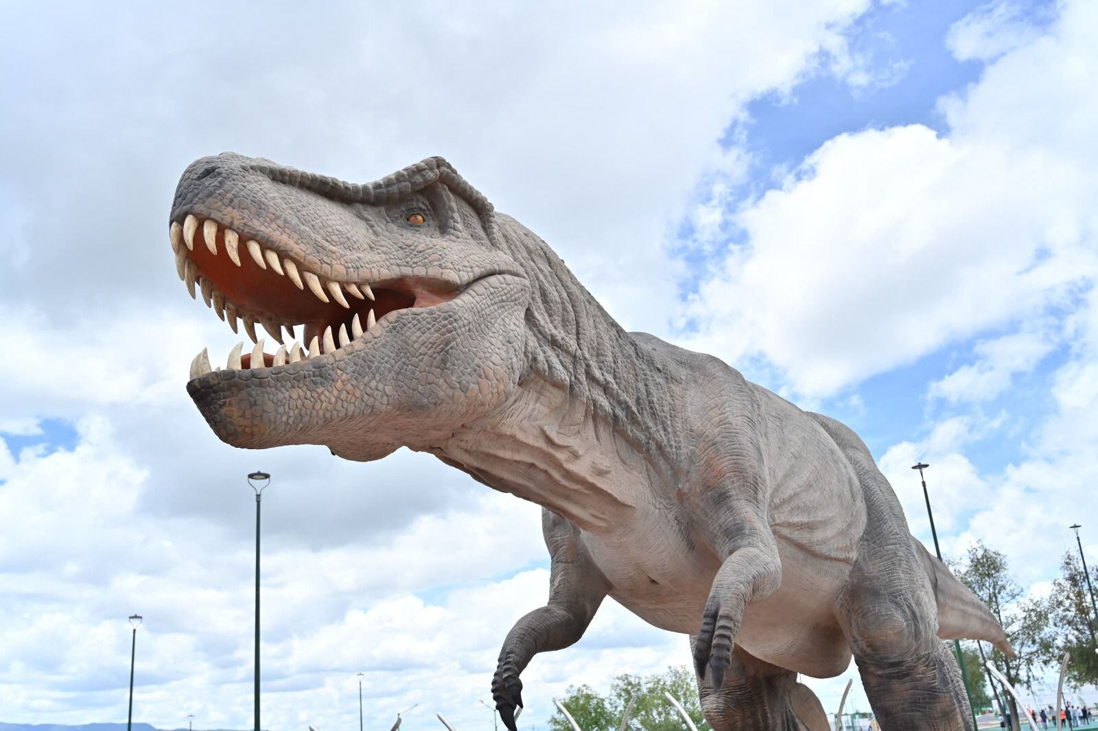 Parque Recreativo el Meteorito