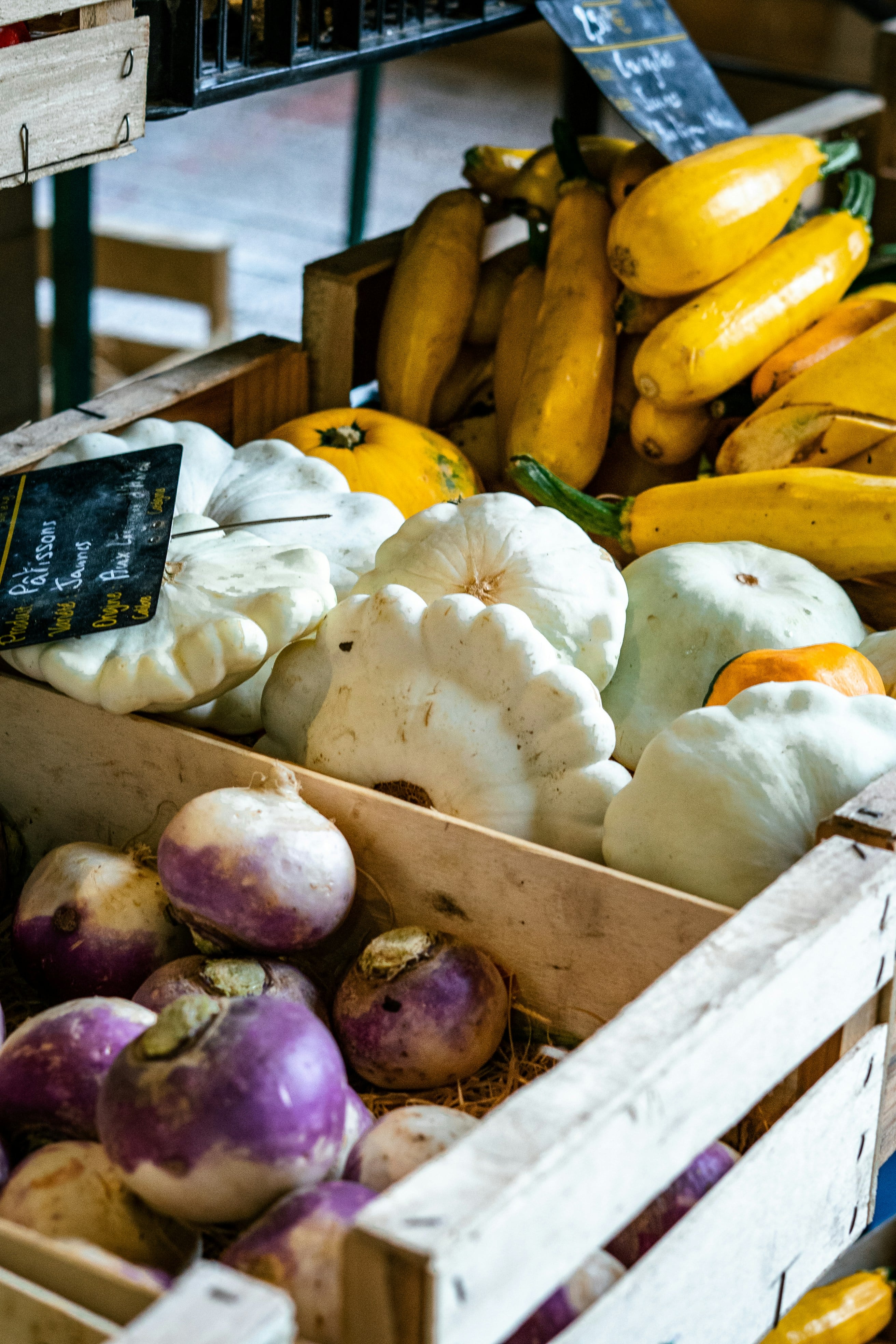 Este 17 de mayo es el Día Mundial del Horticultor