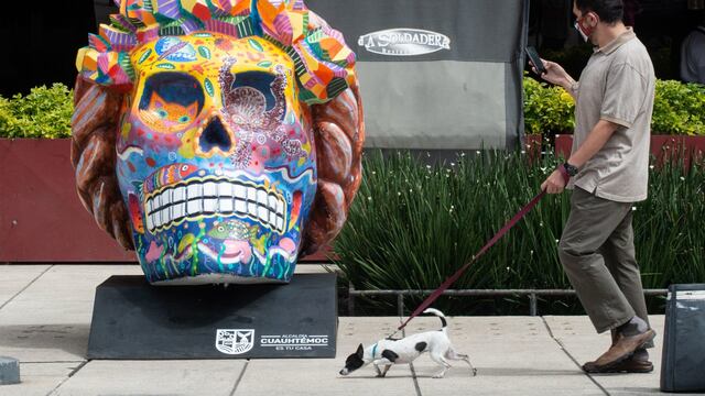 Visitan la exposición “Fridacráneos”