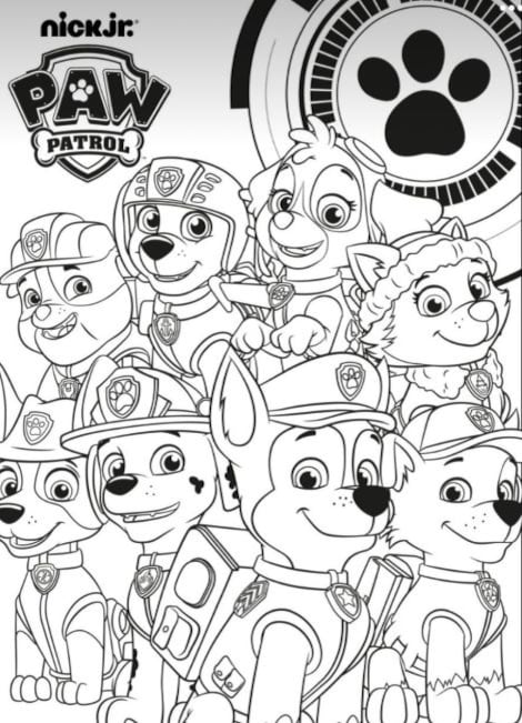 Todo el equipo de Paw Patrol en el Día Mundial de Bendecir a los animales