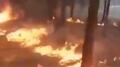Se graba mientras prende fuego en un bosque y desata el enojo en redes (VIDEO)
