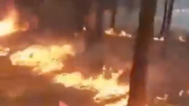 Joven provoca incendio en Argentina