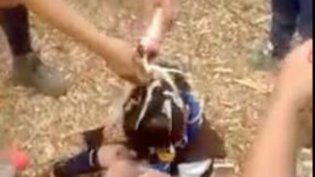 Niña scout bañada con refresco.