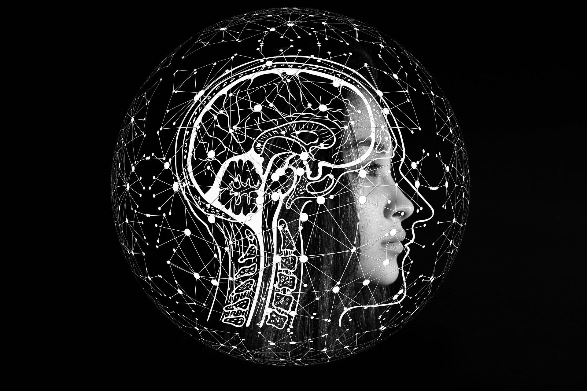 Ilustración de cerebro