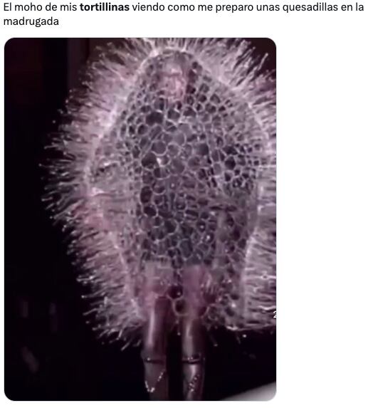 Las Tortillinas desatan una ola de memes en redes