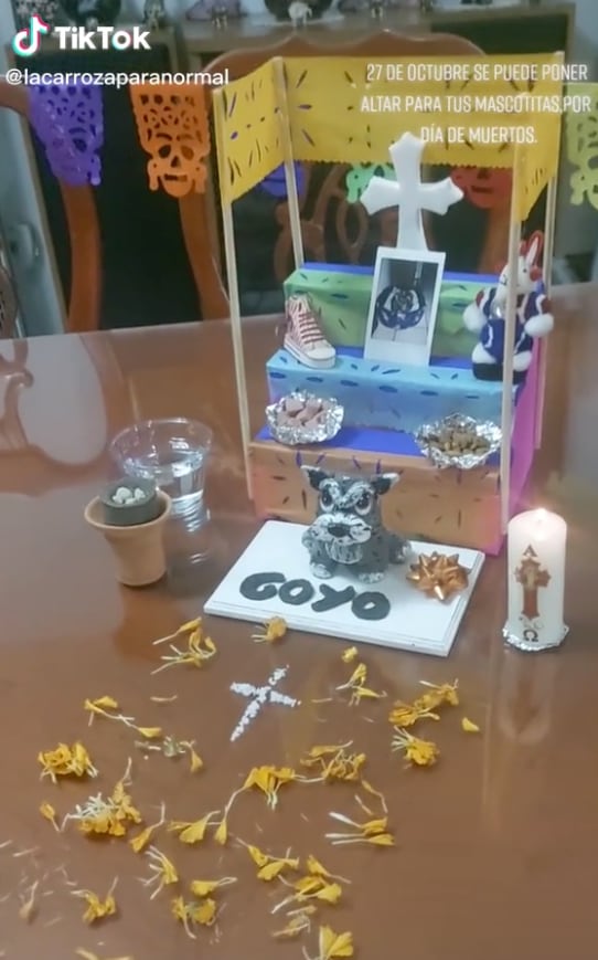 Ejemplo de altar de muertos para mascotas.