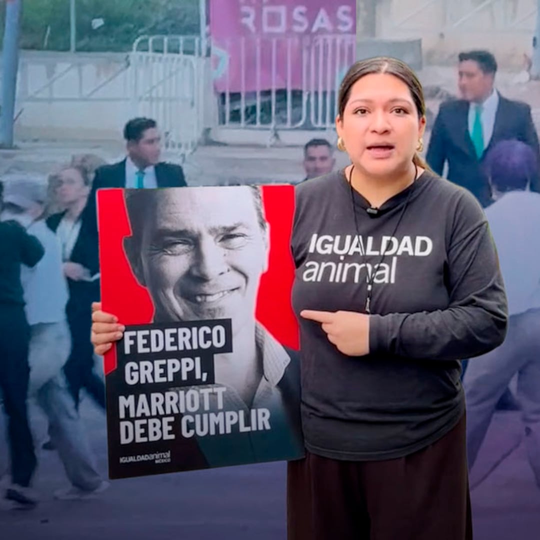 Agreden a activista de Igualdad Animal México durante protesta frente a The Westin Guadalajara