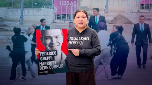 Agreden a activista de Igualdad Animal México durante protesta frente a The Westin Guadalajara