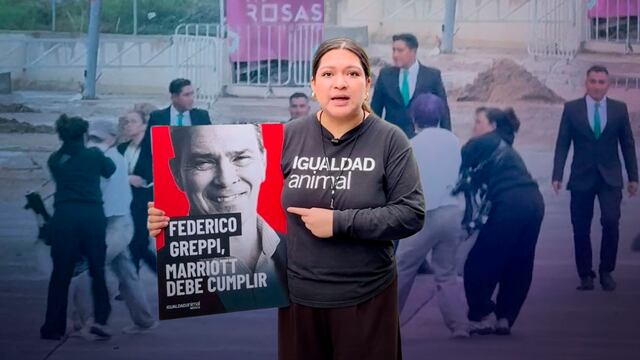 Agreden a activista de Igualdad Animal México durante protesta frente a The Westin Guadalajara