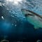 Surfista se enfrenta a tiburón blanco de 3 metros de largo en Australia y vive para contarla