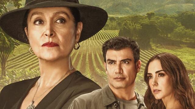 Amor Amargo, la telenovela con Daniela Romo y Andrés Palacios