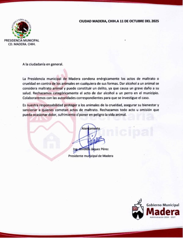 Autoridades de Ciudad Madera, Chihuahua condena acto de maltrato animal