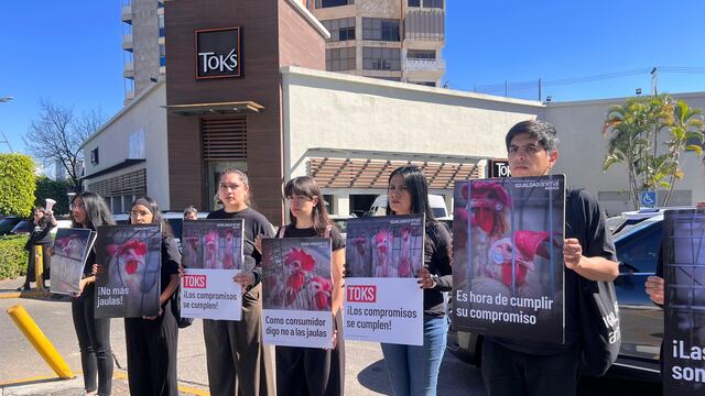 Toks Guadalajara es señalada por no cumplir con el bienestar animal