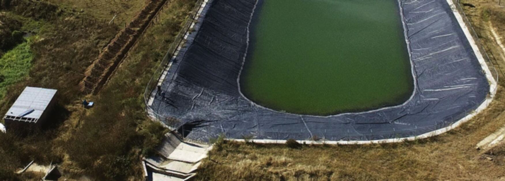 Nuevas acciones IMCC