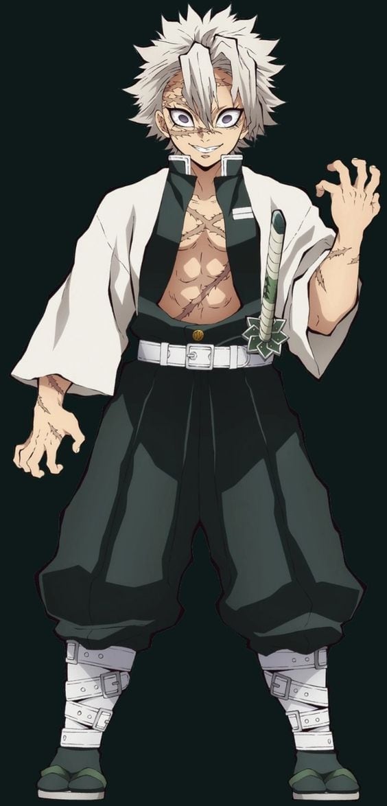 ¿Quiénes son los pilares de Demon Slayer: Kimetsu no Yaiba? Nombres y cómo se vea cada uno de los personajes para que los identifiques