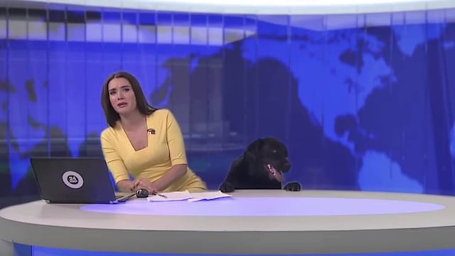 Noticiario.
