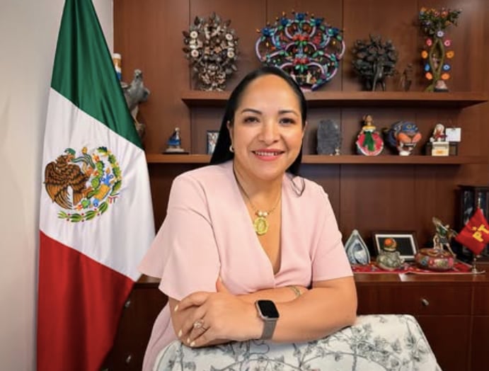 Lizeth Sánchez García. Senadora del PT