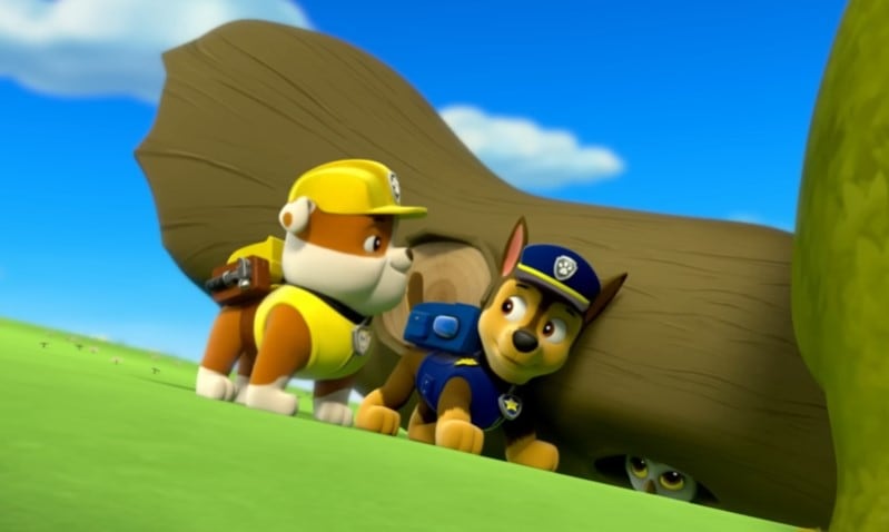 Paw Patrol salva a un búho y otros animales bebés