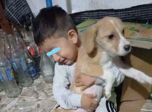 Niño y perrito de la calle