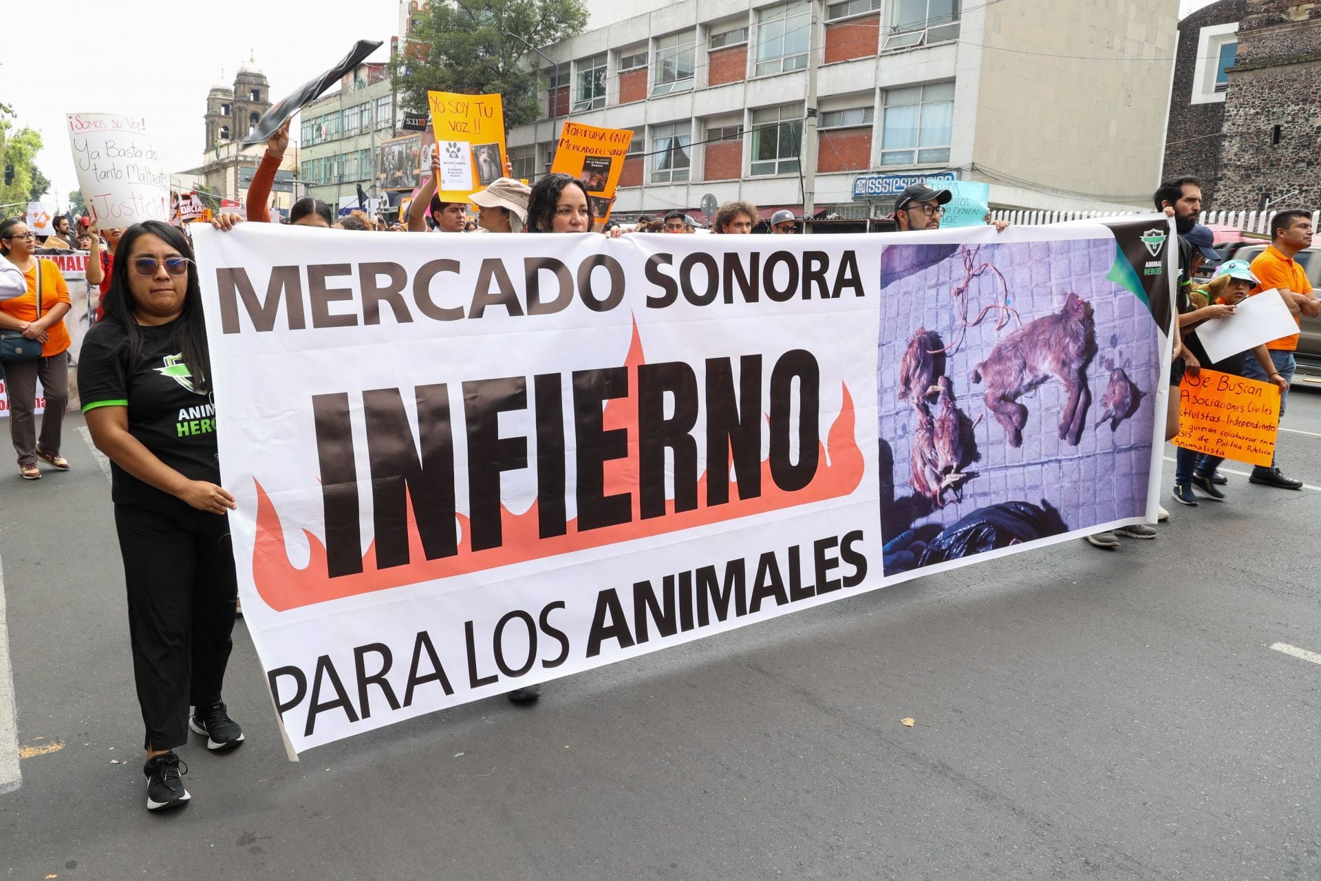 Mercado Sonora y la venta de animales