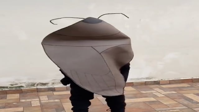 TikTok: Niño pide disfraz de cucaracha, mamá se lo cumple