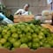 Estados Unidos elimina las restricciones a las importaciones de tomate mexicano; fueron 4 años de espera
