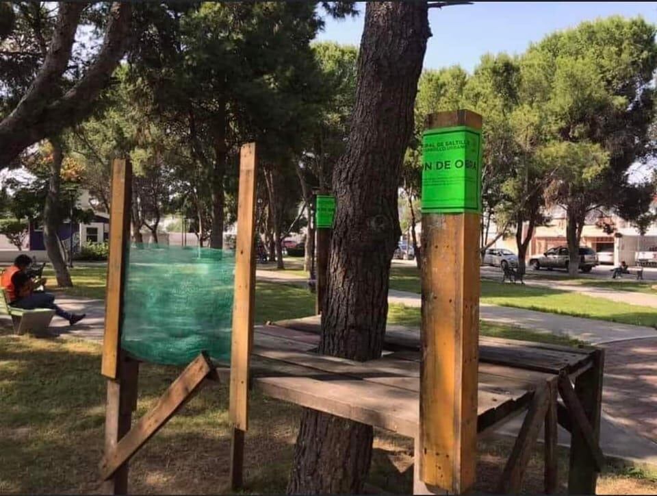 Casa del árbol clausurada por Protección Civil