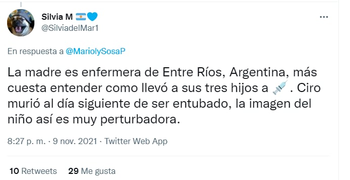 Captura de Twitter donde culpan a la madre de Ciro por su muerte/ @SilviadelMar1